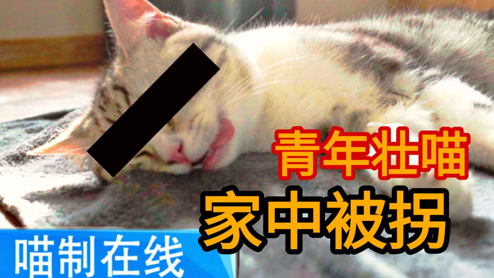 【喵治在线】青年壮喵惨遭昏迷,手术后竟然爱上穿女装!
